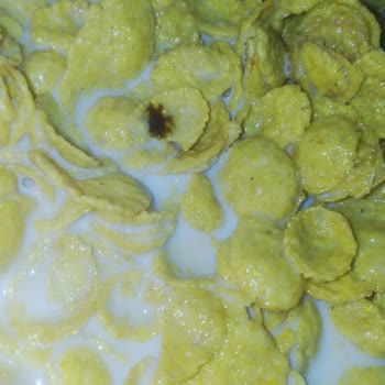 Nestle Gold Gevrek Paketinden Çıkan Sürpriz