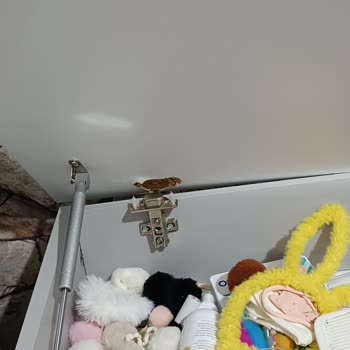 Montessori Mobilyada Kalitesiz Malzeme ve İlgisiz Hizmet