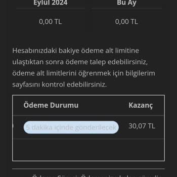 Ödeme Gecikmesi ve Destek Cevapsızlığı