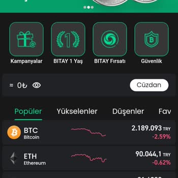 Hesap Erişimi ve Yatırım Görünmeme Sorunu