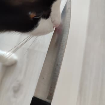 Emsan Mutfak Paslanmaz Çelik Bıçak Seti Hayal Kırıklığı