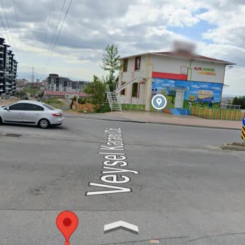 Çayırova'da Saldırgan Köpekler ve Yetersiz Işıklandırma Sorunu
