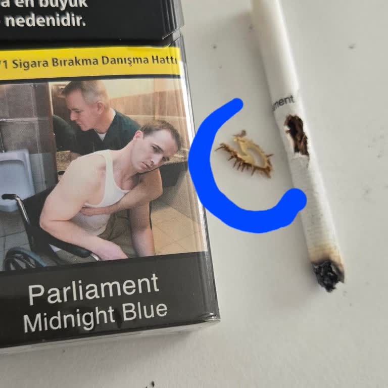 Parliament Sigara İçinden Çıkan Tanımlanamayan Cisim Şoku