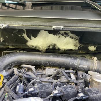 Ford EcoSport Style Şikayeti