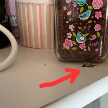 Arçelik Servis Montajında Büyük Hayal Kırıklığı