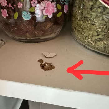 Arçelik Servis Montajında Büyük Hayal Kırıklığı