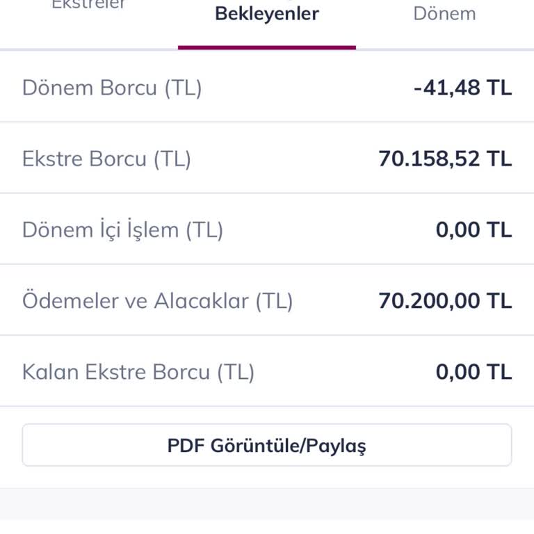 Kredi Kartı Limit Güncellenmiyor: Maddi Mağduriyet