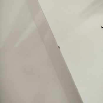 Teşhir Ürünü Sorunu ve Müşteri Hizmetleri İlgisizliği