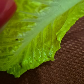 Grand Öztürk Otel Kapadokya Turunda Hijyen Sorunu!