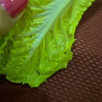 Grand Öztürk Otel Kapadokya Turunda Hijyen Sorunu!