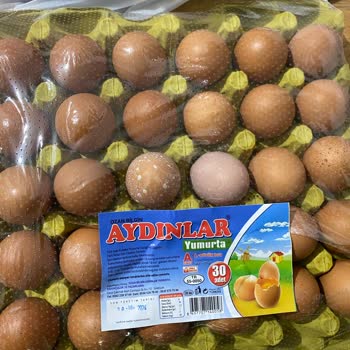 Bozuk Yumurta Sorunu