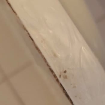 A101 Su Hasarlı Ürün Ve İade Sorunu