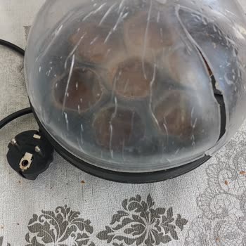 Sinbo Yumurta Haşlama Makinesi Kapak Sorunu