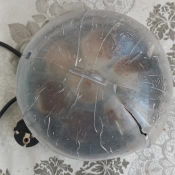 Sinbo Yumurta Haşlama Makinesi Kapak Sorunu