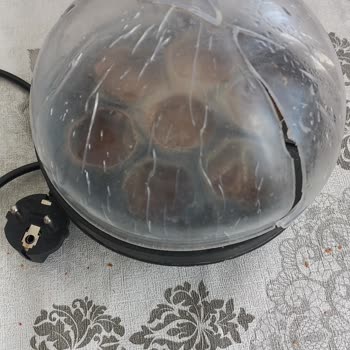 Sinbo Yumurta Haşlama Makinesi Kapak Sorunu