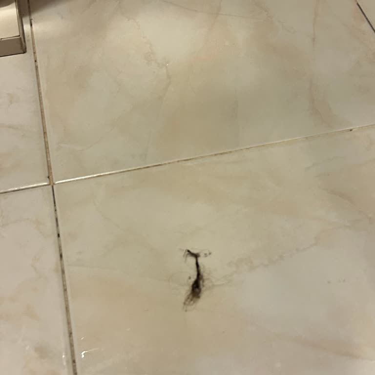 Bosch Servisinden Yetersiz Müşteri İlgisi