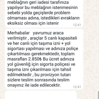 Patiisahiplen_tr (Instagram) Evcil Hayvan Taşıma Hizmeti Mağduriyeti