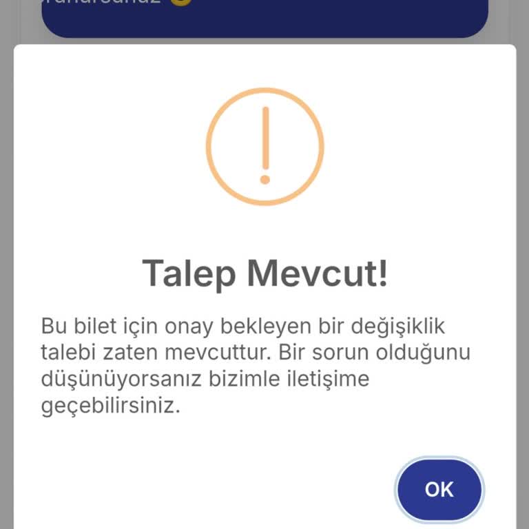 Feribot Bileti Onay Sorunu ve Müşteri Hizmetleri Eksikliği