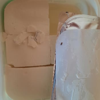 Torku Peynirde Böcek Şoku: İnsan Sağlığı Tehlikede!