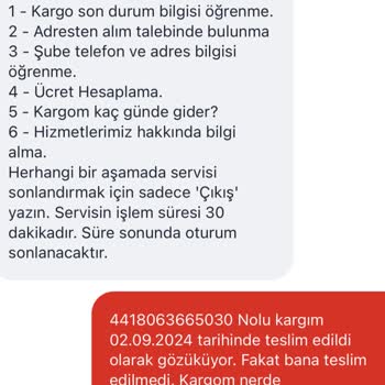 Teslim Edilmeyen Kargo ve Ulaşılamayan Müşteri Hizmetleri