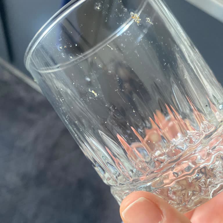 Beko Beyaz Eşya ile Hayal Kırıklığı: Pis Çıkan Bulaşıklar ve Kokulu Çamaşırlar