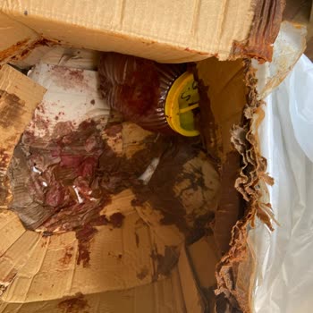 Yurtiçi Kargo plastik bidondaki salçaları parçalamayı başarmış