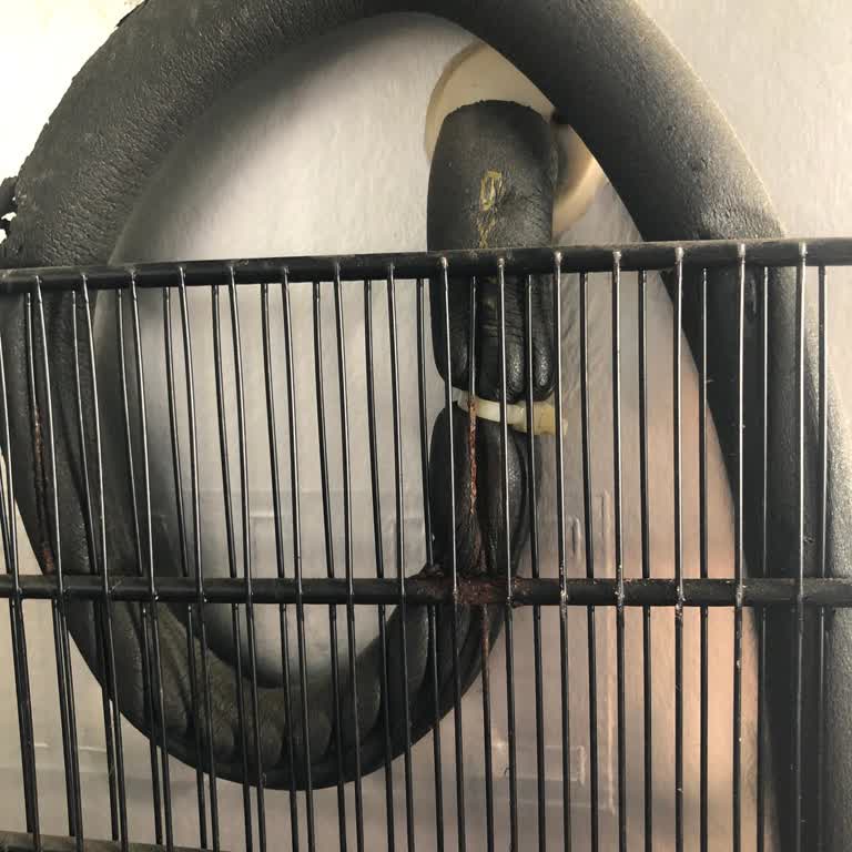 Beko Derin Dondurucu: Beklenmedik Arıza ve Yüksek Onarım Maliyeti