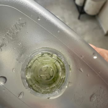 Brita Sürahimde Yosun Sorunu: Çözüm Bekliyorum