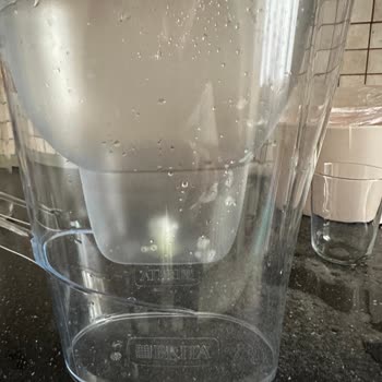 Brita Sürahimde Yosun Sorunu: Çözüm Bekliyorum