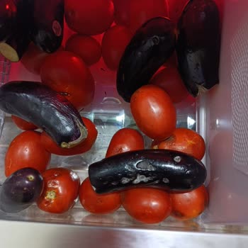 Beko Buzdolabında Sürekli Su Damlacıkları Sorunu ve Yetersiz Servis Hizmeti