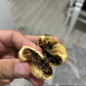 Egeli Organik Dünya Şikayetçiyim