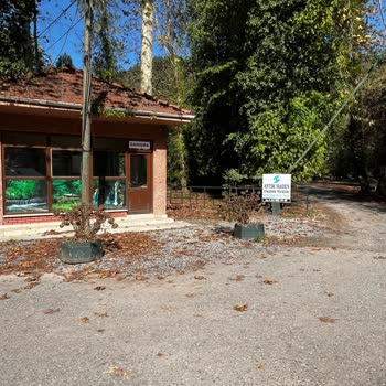 Karasu Maden Deresi'nde Şaşırtıcı Giriş Ücreti