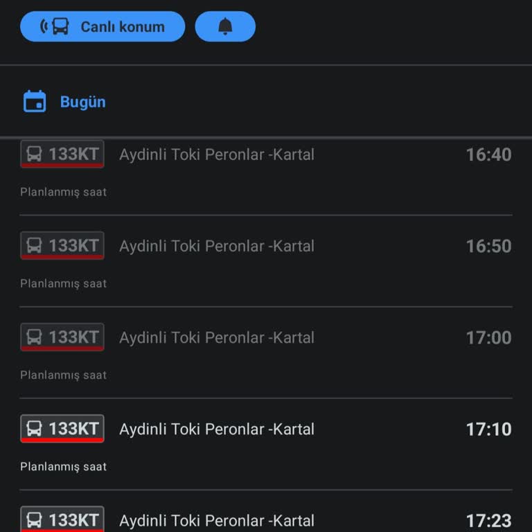 İstanbul'da Otobüs Hattı Çilesi: 133kt'nin Dakikalarca Bekletmesi
