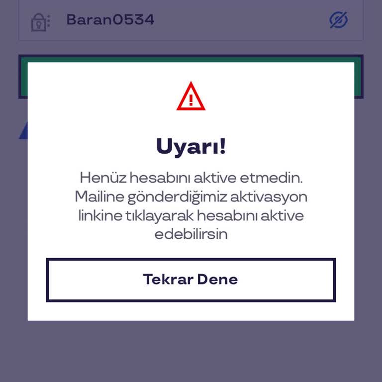 Aktivasyon Kodu Sorunu ve Giriş Problemi