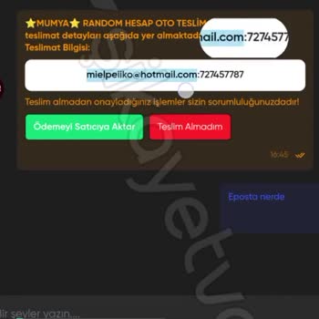 Hesap.com.tr Hesabı Satın Aldım Fakat Hesaba Giremiyorum!