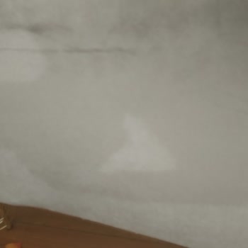 Trend Koltuk & Mobilya Defolu Koltuk