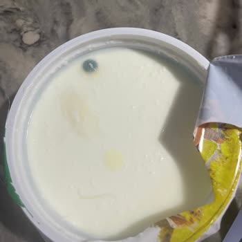 Pınar Yoğurt Şikayeti!