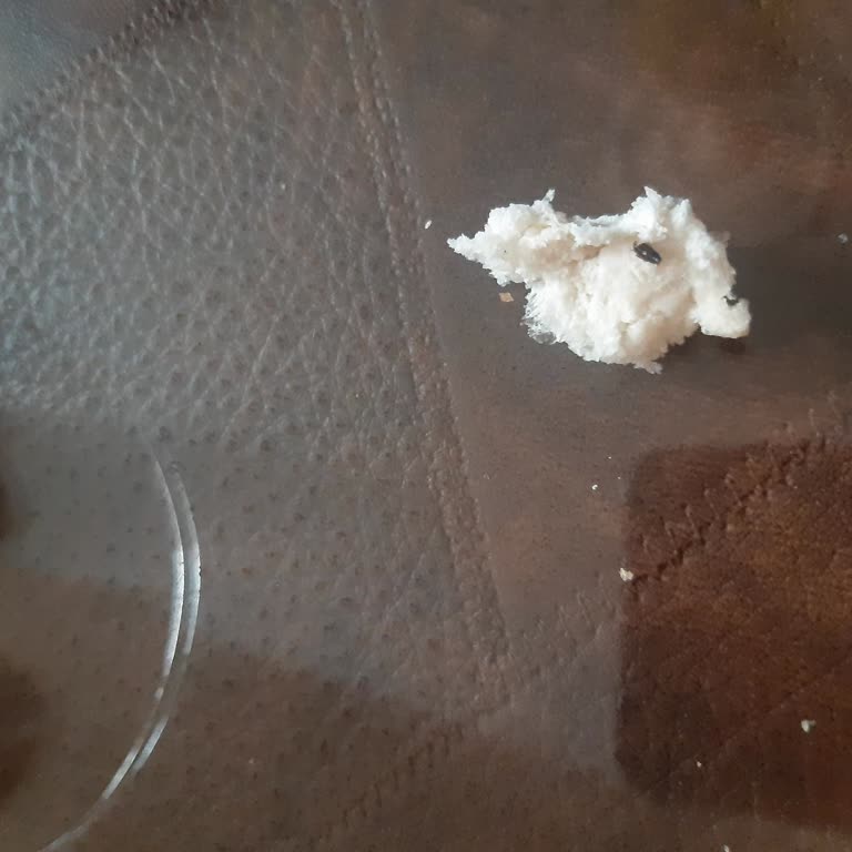 BİM'den Aldığım Ekmekte Böcek Şoku