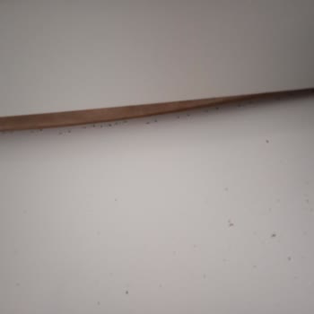 Kırık Koltuk Takımı ve İade Sorunu