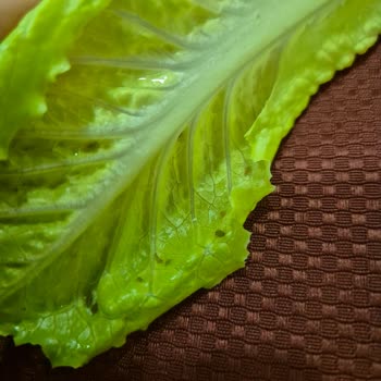 Tatil Sepeti Kapadokya Turunda Hayal Kırıklığı: Bitli Yemekler Ve Sigara Kokulu Odalar