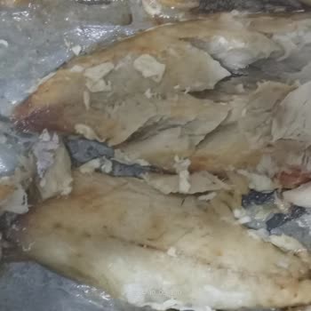 Bozuk Ürün Deneyimi: Dondurulmuş Uskumru Hayal Kırıklığı