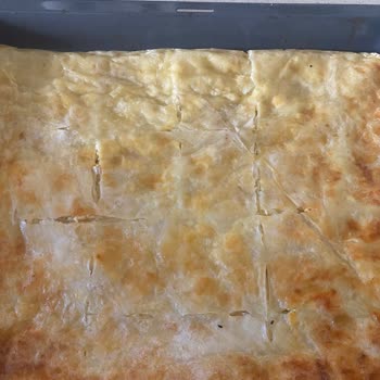 Bosch Fırın Sorunu ve Müşteri Hizmetleri Deneyimi