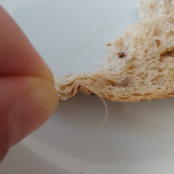 Sarı Kıl Çıkan Uno Ekmek!