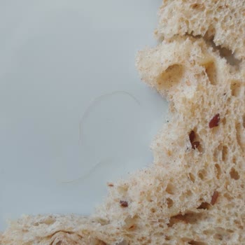 Sarı Kıl Çıkan Uno Ekmek!