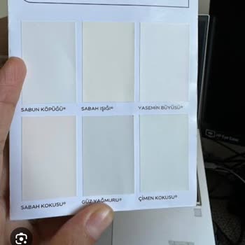 İç Cephe Boyası Renk Uyuşmazlığı Şikayeti