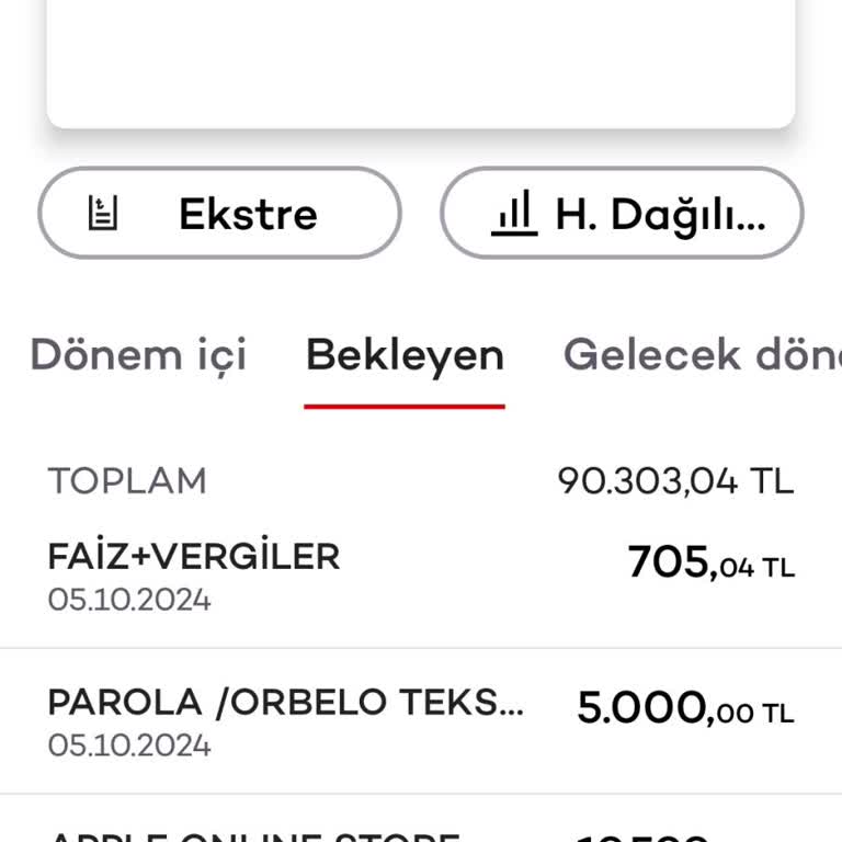 Apple Store'da İzinsiz Kart Kullanımı Şoku
