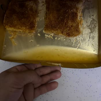 Furkan Baysak Pastaneleri Kadayıfın Şiresi Fiyatı Aştı!