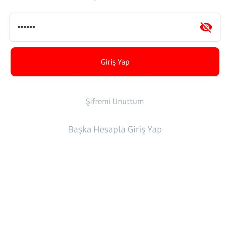 Hesap Blokesi ve Kimlik Doğrulama Sorunu