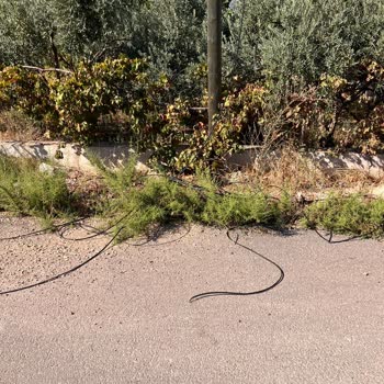 Yerel İletişim Sorunları ve Güvenlik Tehlikesi