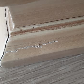 Varansoy Nakliyat: Sigortalı Taşımacılıkta Büyük Hayal Kırıklığı!